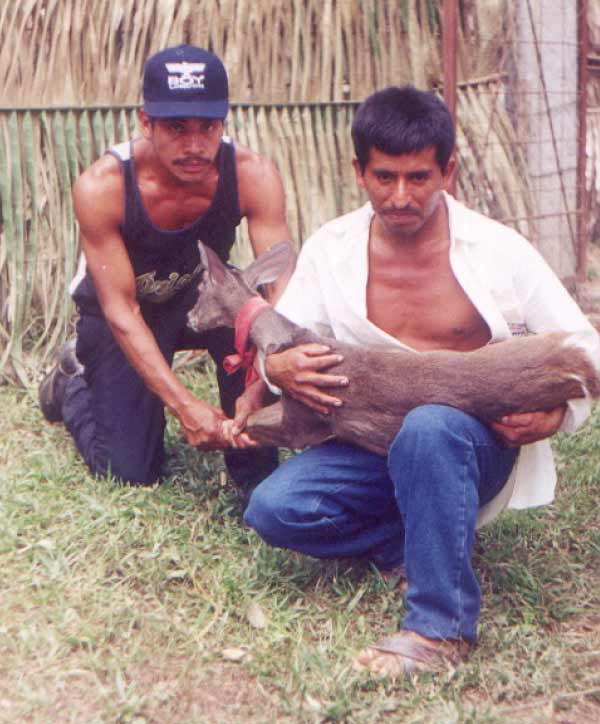 ecosta-agrojusto-10